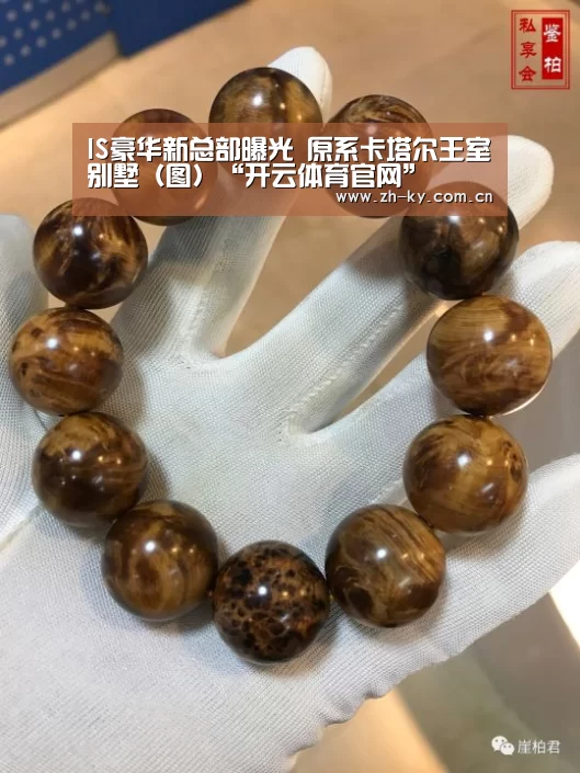 IS豪华新总部曝光 原系卡塔尔王室别墅（图）“开云体育官网”