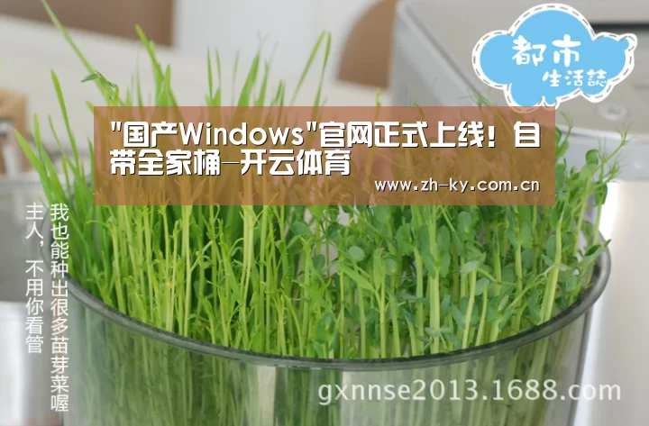 国产Windows官网正式上线!自带全家桶-开云体育(图1) 开云官网
