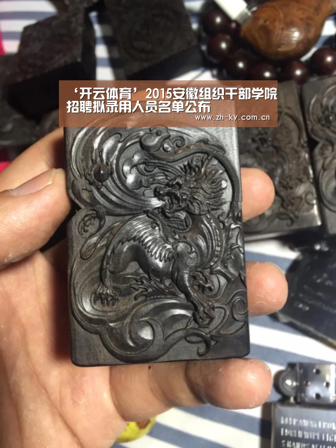 ‘开云体育’2015安徽组织干部学院招聘拟录用人员名单公布(图2) 开云体育